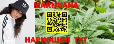 гидра Краснознаменск