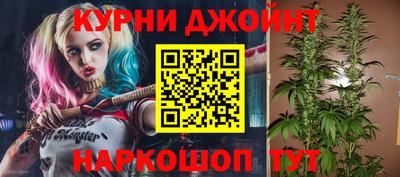 гидра Краснознаменск