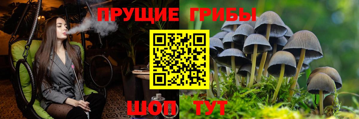 Псилоцибиновые грибы GOLDEN TEACHER  Вход с VPN  Заречный 