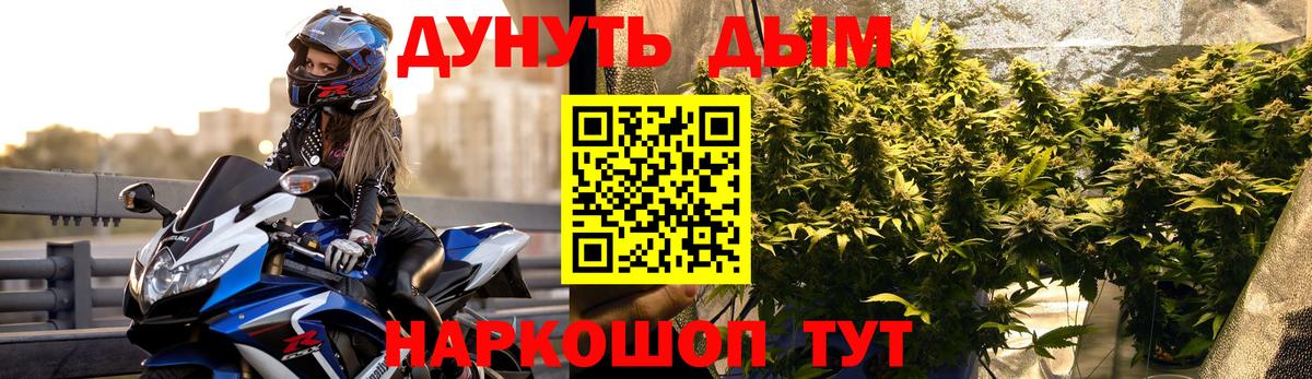 Шишки марихуана гибрид Заречный